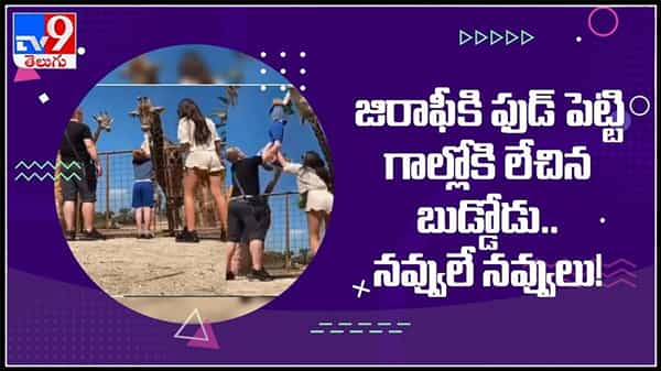 జిరాఫీకి ఫుడ్ పెట్టి గాల్లోకి లేచిన బుడ్డోడు..నవ్వులే నవ్వులు.సోషల్ మీడియాలో వైరల్ అవుతున్న వీడియో :Viral video
