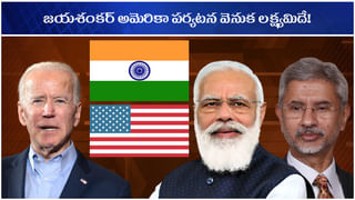 మరో ప్రపంచ రికార్డ్… రూ. 213 కోట్లు పలికిన ‘ది స్వీట్ హార్ట్’ పింక్ డైమండ్