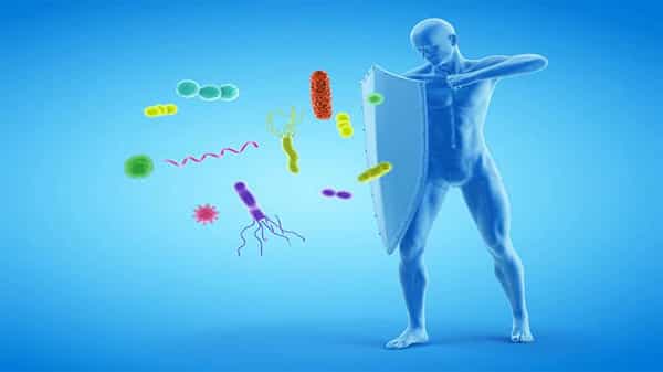 Anti-Viral Natural Foods: కరోనా కాలంలో వీటిని ఆహారంలో భాగం చేసుకోవాల్సిందే.. వైరల్ ఇన్ఫెక్షన్స్కు చెక్ పెడుతూనే..