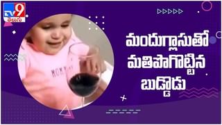 Viral Video: చిరుత, పైథాన్ మధ్య జరిగిన భీకర పోరు లో విజేత ఎవరో తెలుసా….?? ( వీడియో )