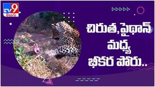 Viral Video: సేద తీరుతున్న చిరుత.. అంతలో మొసలి ఎటాక్.. షాకింగ్ వీడియో వైరల్.!