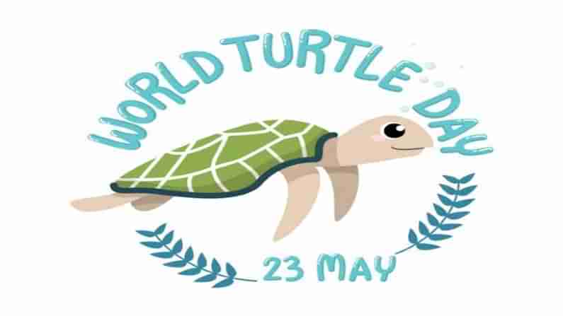 World Turtle Day 2021: నేడు ప్రపంచ తాబేళ్ల దినోత్సవం..  తాబేళ్ల గురించి ఈ విషయాలు తెలిస్తే ఆశ్చర్యపోవాల్సిందే.. 