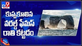 జూ సిబ్బందిని చంపేసిన రాయ‌ల్ బెంగాల్ టైగ‌ర్‌.. జూలో దారుణం కేర్ టేకర్ ను చంపిన వైనం వీడియో వైరల్..: Viral video.