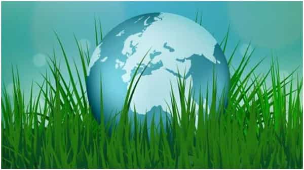 World Environment Day: ఇవాళ ప్రపంచ పర్యావరణ దినోత్సవం, మొక్కలు పెంచుదాం, భూమిని కాపాడుకుందాం!