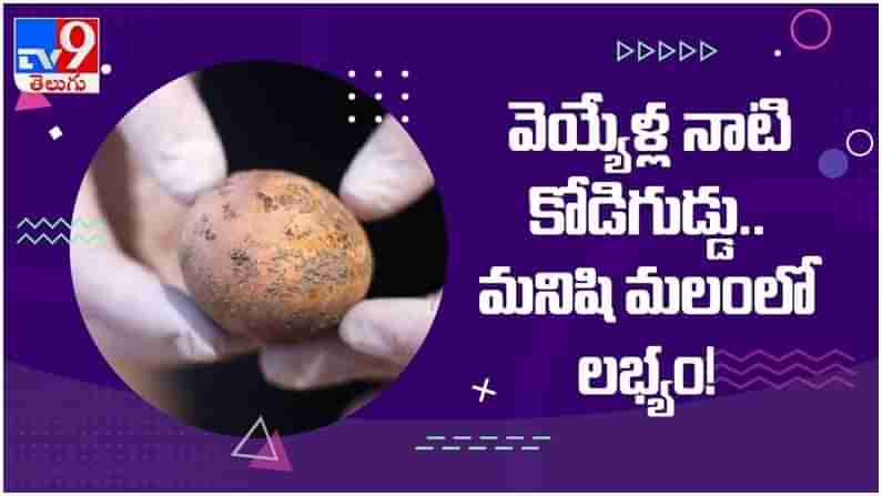 Viral Video: వెయ్యేళ్ళ నాటి కోడిగుడ్డు...!! మనిషి మలంలో లభ్యం... ఇప్పటికీ పాడవలేదు.. ఎలా..?? ( వీడియో )