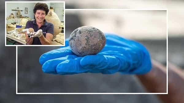 1000 years old egg: తవ్వకాల్లో లభించిన అరుదైన నిధి.. ఆ కోడిగుడ్డు వెయ్యి ఏండ్లు..