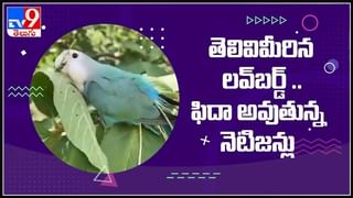 గర్భాశయం లేదు..అయినా ఆరోగ్య వంతమైన బిడ్డకు జన్మనిచ్చింది..!అమెరికాలో అరుదైన శస్త్ర చికిత్స:Woman born without Uterus.