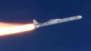 US Bans Dogs: అమెరికా కీలక నిర్ణయం.. ఆయా దేశాల నుంచి తీసుకువచ్చే కుక్కలపై నిషేధం.. ఎందుకంటే..!