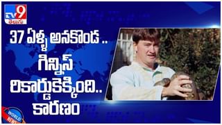 John McAfee: యాంటీ వైరస్‌ సాఫ్ట్‌వేర్‌ సృష్టికర్త మెకఫీ ఇకలేరు.. ( వీడియో )