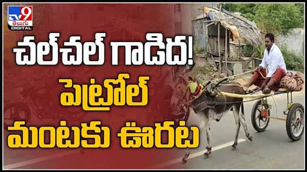 పెట్రోల్ భారం మోయలేక..గాడిద సాయం.మార్కెట్లో గాడిదల ధర కంటే, పెట్రోల్ ధరలే ఎక్కువ:Donkey vehicle Viral Video.