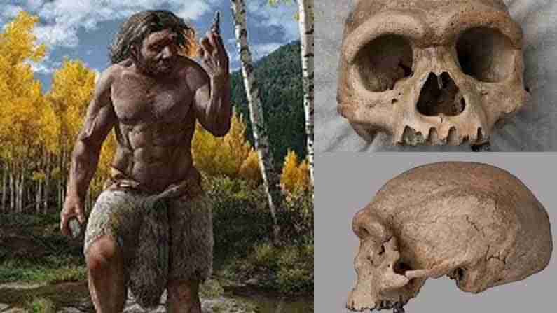 Ancient Humans: చైనాలో లక్షా నలభై ఏళ్ళనాటి మానవ శిలాజం.. చతురస్రాకారపు కళ్ళతో నివసించిన డ్రాగన్ మేన్ ఆనవాళ్లు!