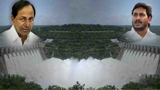 Manair Reservoir: కోటి ఎకరాల మాగాణం దిశగా తెలంగాణ.. పచ్చని పొలాలుగా మారుతున్న బీడు భూములు.. ఆకుపచ్చని తివాచీ చిత్రాలు