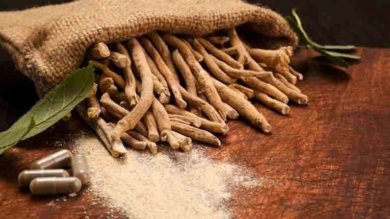 Ashwagandha Benefits : అశ్వగంధతో అద్భుత ప్రయోజనాలు..! ఈ ఆరోగ్య సమస్యలకు చక్కటి పరిష్కారం..