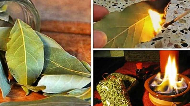 Bay Leaves: నిద్ర లేమితో ఇబ్బంది పడుతున్నారా ..బిర్యానీ ఆకుతో ఇలా చేసి చూడండి