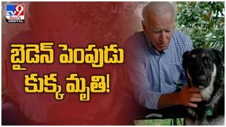 Viral Video: చైనా ల్యాబ్‌ నుంచి బయటకొచ్చిన వయాగ్రా దోమలు….!! ( వీడియో )