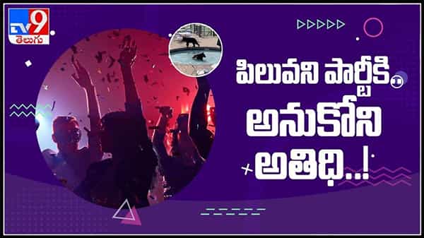 పిలవని పార్టీ కి అనుకోని అతిధి..!గెస్ట్ లను చూసి బయపడి పరుగులు తీసిన వైనం.వైరల్ అవుతున్న వీడియో:Black bears party Viral video