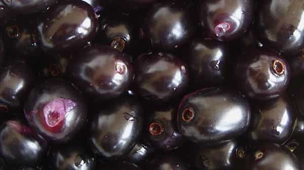 Black Berry: డయాబెటిస్తో బాధపడుతున్నారా?.. ఈ పండ్లు తినండి ఆరోగ్యంగా ఉండండి..