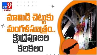 Viral Video: వయోలిన్ తో బాలీవుడ్ సాంగ్… తాతా మజాకా… నెట్టింట వైరల్ గా మారిన  వీడియో…