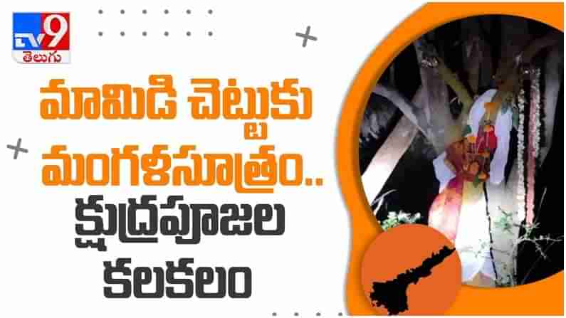 Black Magic: మామిడి చెట్టుకు మంగళసూత్రం.. క్షుద్రపూజల కలకలం.. ( వీడియో )