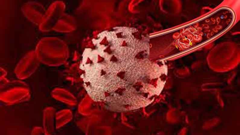 Blood Clots: కరోనా సోకిన వారిలో రక్తం గడ్డకట్టడానికి కారణమవుతున్న అణువును కనుగొన్న శాస్త్రవేత్తలు