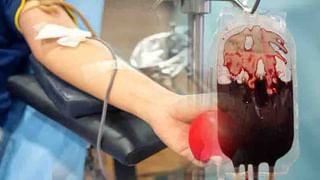 Capsicum Benefits: క్యాప్సికమ్‏తో ఆరోగ్యానికి ఎన్ని ప్రయోజనాలున్నాయో తెలుసా.. బరువు తగ్గాలనుకునేవారికి బెస్ట్ ఫుడ్ ఇదే..