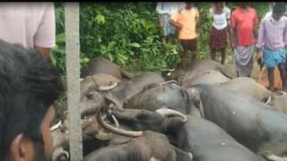 Revanth Reddy : రేవంత్ రెడ్డికి అభినందనల వెల్లువ..  పార్టీ సీనియర్లతోపాటు, జిల్లాల నుంచి పెద్దఎత్తున శుభాకాంక్షలు