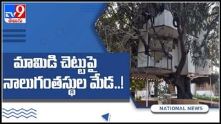 పెంపుడు పాము విషపు కాటుకు గురైన చైనాలోని వ్యక్తి..ఆన్లైన్ లో పాము ఆర్డర్.. వైరల్ అవుతున్న వీడియో.:Snake Viral video.