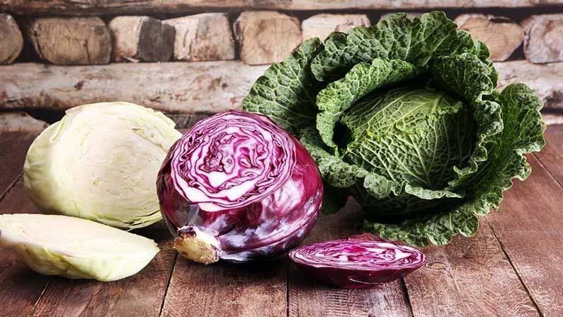 Benefits Of Cabbage: క్యాబేజి తినడం వలన కలిగే ఆరోగ్యప్రయోజనాలు తెలిస్తే కష్టమైనా ఇష్టంగా తినడం అలవాటు చేసుకుంటాం..!