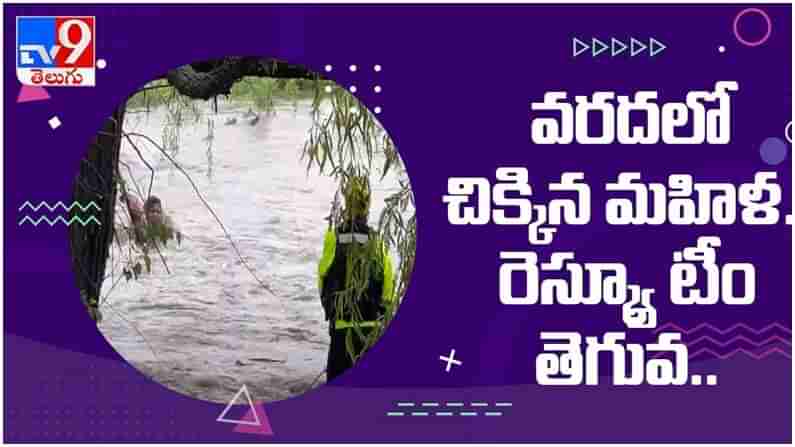 Viral Video: వరదలో కొట్టుకుపోతూ చెట్టుకొమ్మ పట్టుకున్న మహిళ... రెస్క్యూ టీం తెగువ..  ( వీడియో )