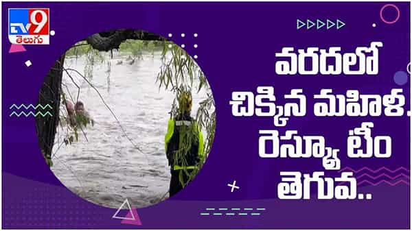 Viral Video: వరదలో కొట్టుకుపోతూ చెట్టుకొమ్మ పట్టుకున్న మహిళ... రెస్క్యూ టీం తెగువ..  ( వీడియో )