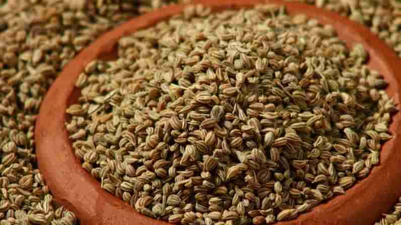 Carom Seeds: వంటింటి దివ్య ఔషధం.. వాము.. రోజూ తింటే ఎన్నో ఆరోగ్య ప్రయోజనాలు.. అవేంటంటే..?