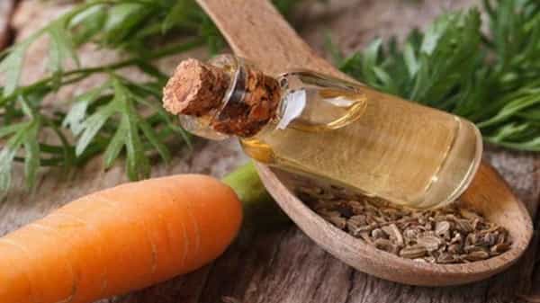 Carrot Oil: క్యారెట్ విత్తనాలతో చేసే నూనెతో ఎన్నో ప్రయోజనాలు.. చర్మం, ముఖం వచ్చే సమస్యలను తగ్గిస్తాయట..