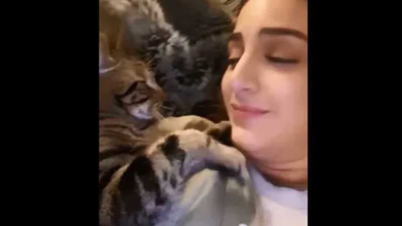 Viral Video:తన యజమానులురాలు మరో పిల్లిని పిలుస్తుంటే.. అసూయతో ఈ పిల్లి చేసే పనులు చూస్తే నవ్వాపుకోలేరుగా