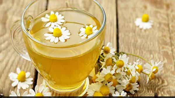 Chrysanthemum Tea: ఛాయ్ ప్రియుల కోసం చామంతి టీ తయారీ విధానం .. అది ఇచ్చే ఆరోగ్య ప్రయోజనాల గురించి తెలుసుకుందాం