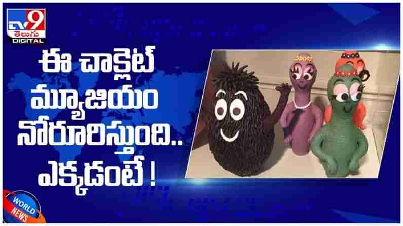 Chocolate museum: ఈ చాక్లేట్ మ్యూజియం నోరూరిస్తుంది... ఎక్కడ ఉందో తెలుసా..?? ( వీడియో )