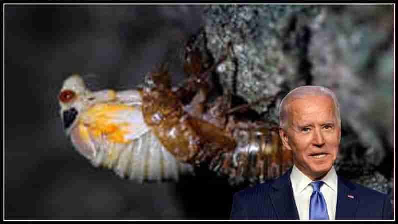 అమెరికా అధ్యక్షుడు జోబైడెన్ కి కీచురాళ్ళ బెడద ! బ్రిటన్ పర్యటనకు వెళ్లే ముందు... విమాన ప్రయాణంలో జాప్యం !