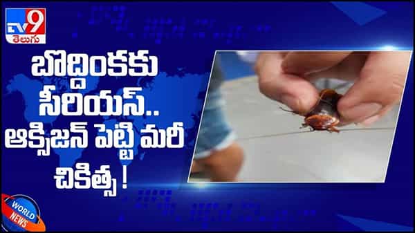 Cockroach: ప్రాణాపాయంలో ఉన్న బొద్దింకకు చికిత్స చేసి ప్రాణం పోసిన డాక్టర్... ( వీడియో )