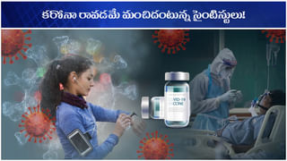 Bird Flu: చైనాలో మరో వైరస్.. బర్డ్ ఫ్లూ వైరస్ సోకిన వ్యక్తి గుర్తింపు.. పెద్ద ప్రమాదకారి కాదన్న అధికారులు!