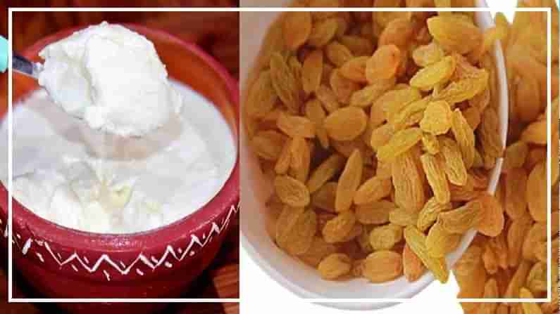 Curd and Raisins:పెరుగు-ఎండుద్రాక్ష తినండి.. అది చేసే మ్యాజిక్ ప్రయోజనాలను చూడండి!