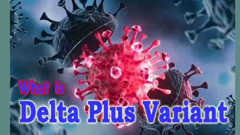 Delta Plus variant: డెడ్లీ డెల్టా ప్లస్ పంజా.. ఆ రాష్ట్రంలో వరుస మరణాల కలకలం