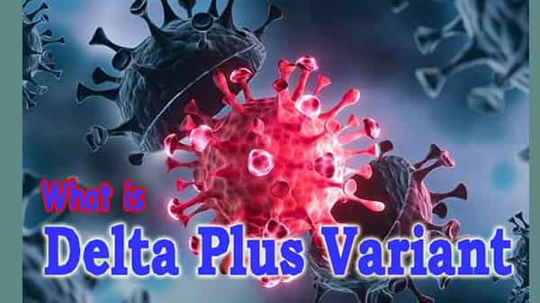 Delta Plus Variant: కరోనా కొత్త వేరియంట్ డెల్టా ప్లస్..అంటే ఏమిటి? ఎంత ప్రమాదం? పూర్తి వివరాలు
