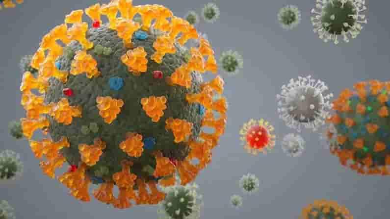 Delta Plus Variant: దేశంలో డెల్టా ప్లస్ వేరియంట్ రెండో మరణం నమోదు.. జాగ్రత్తగా ఉండాలంటున్న నిపుణులు