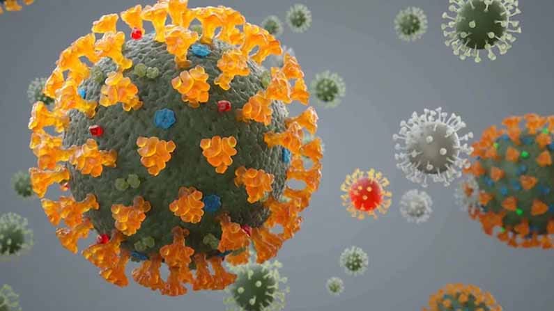 Delta Plus Variant: దేశంలో డెల్టా ప్లస్ వేరియంట్ రెండో మరణం నమోదు.. జాగ్రత్తగా ఉండాలంటున్న నిపుణులు