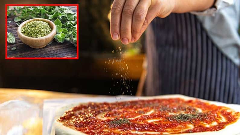 Pizza spices: పిజ్జాను రుచికరంగా చేసే ఒరేగానో భారతదేశంలో ఎక్కడ నుంచి వచ్చిందో తెలుసా..