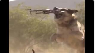 Viral Video: వీడు సామాన్యుడు కాదు.. ఏకంగా మంచం కింద పెద్ద సొరంగం తవ్వేశాడు.. వైరల్ వీడియో!