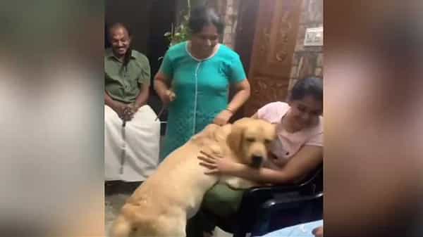 Viral Video: కూతురిని కొట్టడానికి వచ్చిన తల్లి.. అడ్డుపడిన పెంపుడు కుక్క.. చివరికి ఏం చేసిందంటే... వీడియో వైరల్..
