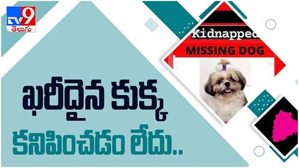 హైదరాబాద్ ఖరీదైన కుక్క కిడ్నాప్.. ఆచూకీ అందించిన వారికి రివార్డు... (వీడియో )