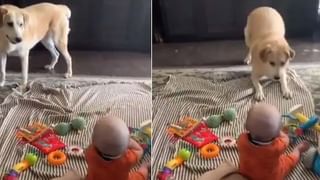 Sreekutty: ‘శ్రీకుట్టి’ ఇక లేదు; పాపం ఈ ఏనుగు పిల్లకు అన్నీ కష్టాలే అంటూ నెటిజన్ల నివాళులు!