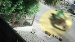 Shocking Video: వీడంత దుర్మార్గుడు ఉండడు.. నిద్రిస్తున్న కుక్కపిల్లలను బైకుతో తొక్కి చంపేశాడు..