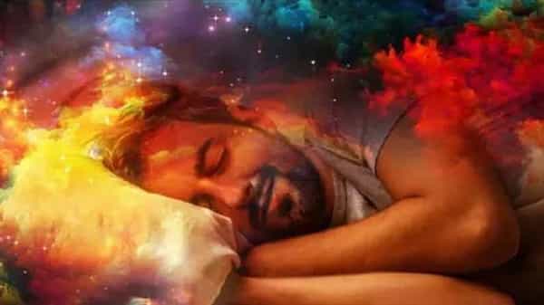 Animals in Dreams : నిద్రలో వివిధ జంతువులు కలలోకి వస్తున్నాయా.. వాటి వలన కలిగే ఫలితాలు ఏమిటో తెలుసా..